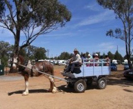 Ariah Park Camping Ground - Accommodation QLD 1