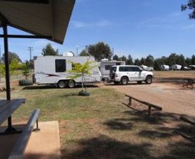 Ariah Park Camping Ground - Accommodation QLD 2