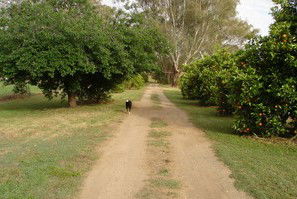 Murray Bank Holiday Units And Yabby Farm - Accommodation QLD 5