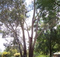 The Church House B and B - Accommodation QLD