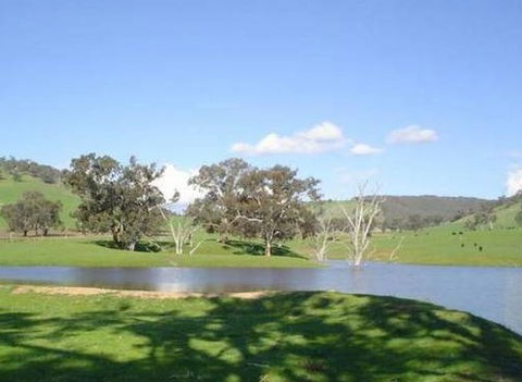 Hillview Farmstay - Accommodation QLD 0