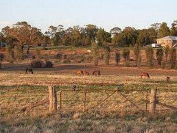 Junee Motor Inn - Accommodation QLD 2