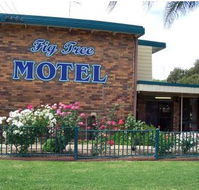 Fig Tree Motel - Accommodation QLD