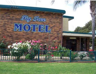 Fig Tree Motel - Accommodation QLD 0