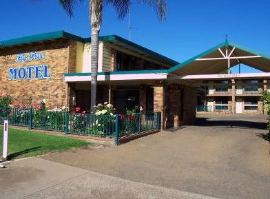 Fig Tree Motel - Accommodation QLD 1