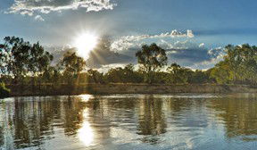 Club Motor Inn Narrandera - Accommodation QLD 3