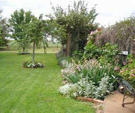 Colleen And Old Sils Farmstay - Accommodation QLD 0