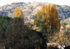 Nundle NSW Accommodation QLD