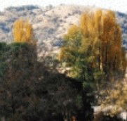 Birches Bed and Breakfast at Nundle - Accommodation QLD