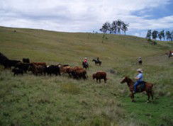 Camp Cobark - Accommodation QLD 2