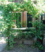 Bandon Grove School House - Accommodation QLD 1