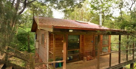Bluegums Cabins - Accommodation QLD 1