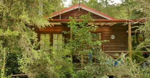 Bluegums Cabins - Accommodation QLD 2