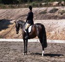 Apptrak Stud - Accommodation QLD