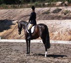 Apptrak Stud - Accommodation QLD 0