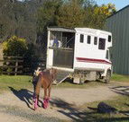 Apptrak Stud - Accommodation QLD 1