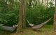 Bingle Tree Retreat - thumb 1