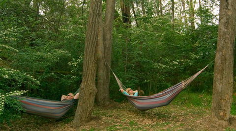 Bingle Tree Retreat - Accommodation QLD 1