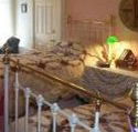 A Winter-Rose Cottage Bed and Breakfast - Accommodation QLD