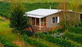 Borrodell Vineyard - Accommodation - Accommodation QLD 0
