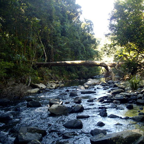 Eungella Mountain Edge Escape - Accommodation QLD 4