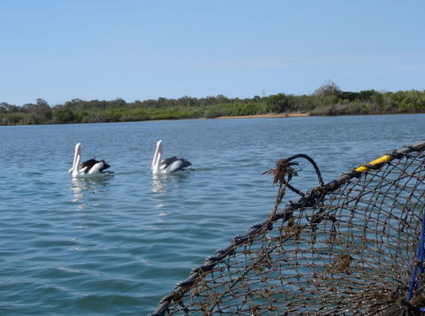 Baffle Retreat Bed And Breakfast - Accommodation QLD 5