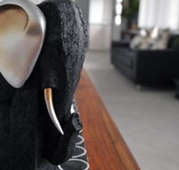 Alexandra Apartments - Accommodation QLD