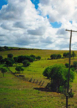 Mango Hill Cottages Bed And Breakfast - Accommodation QLD 2