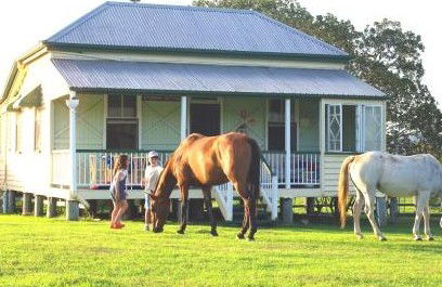 Cedar Glen Farmstay - Accommodation QLD 5