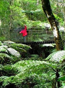 Katandra Mountain Farm House - Accommodation QLD 2
