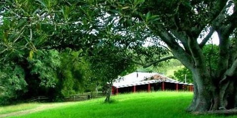 Katandra Mountain Farm House - Accommodation QLD 5
