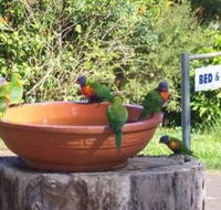 Lamb Island Bed and Breakfast - Accommodation QLD