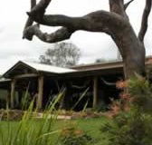The Hollow Log Country Retreat - Accommodation QLD