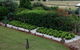 Mulanah Gardens Bed And Breakfast Cottages - thumb 5