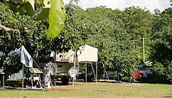 Lilyponds Holiday Park - Accommodation QLD 4
