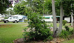 Lilyponds Holiday Park - Accommodation QLD 5