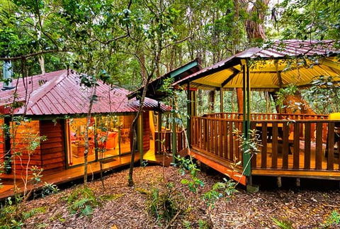 The Mouses House - Rainforest Retreat - Accommodation QLD 4