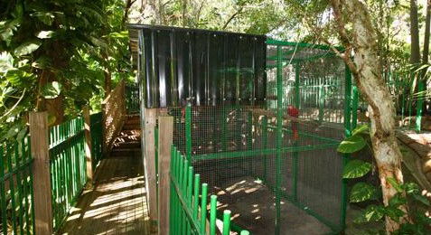 Ashmore Palms Holiday Village - Accommodation QLD 3