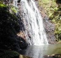 Binna Burra Mountain Lodge - Accommodation QLD