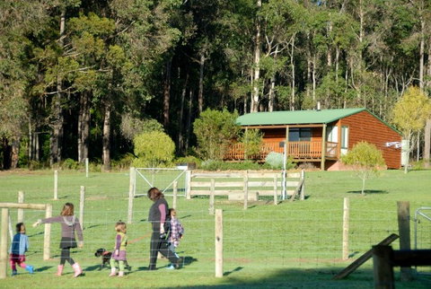 Diamond Forest Farm Stay - Accommodation QLD 0