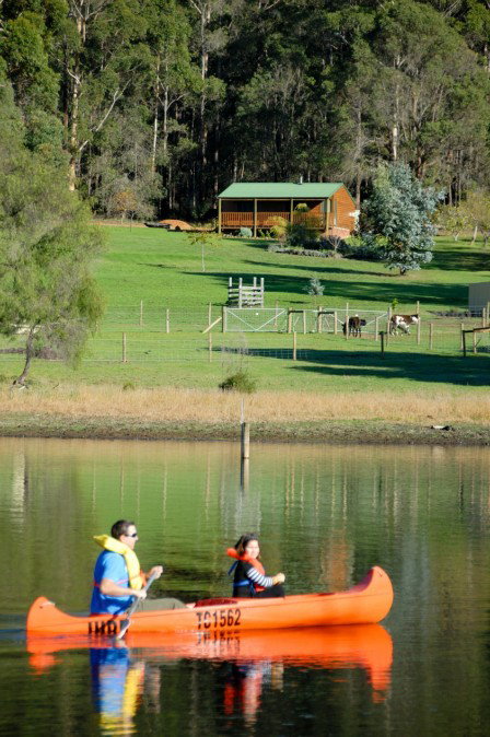 Diamond Forest Farm Stay - Accommodation QLD 2
