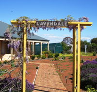 Lavendale Farmstay and Cottages - Accommodation QLD