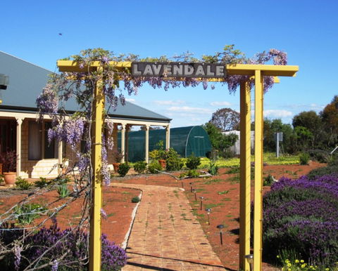 Lavendale Farmstay And Cottages - Accommodation QLD 0