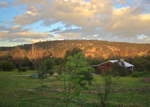 Lavendale Farmstay And Cottages - Accommodation QLD 4