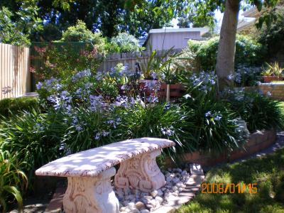 Austin Rise Bed And Breakfast - Accommodation QLD 4