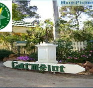 Carmelot Bed  Breakfast - Accommodation QLD