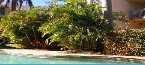 Golden Sea Apartments - Accommodation QLD 4