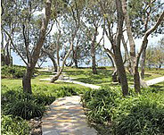 Beachmere Lions Caravan Park - Accommodation QLD 2