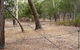 UC Camping Norval - thumb 4