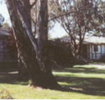 Winbi River Resort - Accommodation QLD